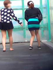 CITY PISSER