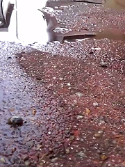Piddle Here, Puddle There 2