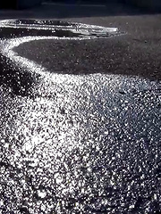 Piddle Here, Puddle There 2